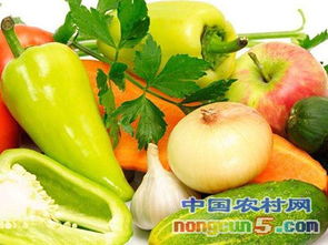 9月6日農(nóng)產(chǎn)品批發(fā)價格指數(shù)解析 市場動態(tài)與趨勢展望