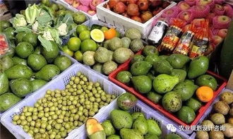 農(nóng)產(chǎn)品上行之路 成功需破解的八大關鍵問題