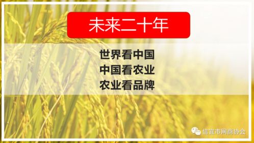 信宜這家農業公司拿到4個商標證 農產品打造品牌的八步法